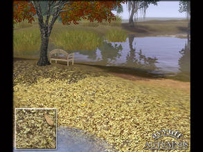 Sims 3 — Autumn 08 by ayyuff — dead leaves terrain paint..