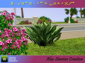Sims 3 — Aspidistra elatior small by alex_stanton1983 — There is a new plant to decorate your massifs. You wonder about