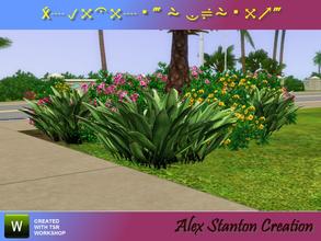 Sims 3 — Aspidistra elatior by alex_stanton1983 — There is a new plant to decorate your massifs. You wonder about his