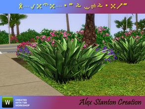 Sims 3 — Aspidistra elatior set by alex_stanton1983 — There is a new plant to decorate your massifs. You wonder about his