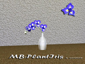 Sims 3 — MB-PlantIris by matomibotaki — MB-PlantIris, plant with new texture and new vase mesh, part of the - Diningroom