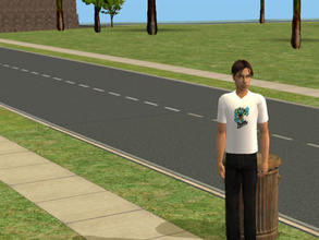 Sims 2 — Trinity Christian College Trolls T-Shirt by joy4evermore2 — This is my first attempt at making clothes. This