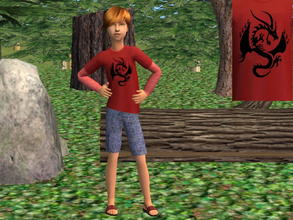 Sims 2 — CM Outfit Set - dragon by zaligelover2 — Whole outfit for CM.