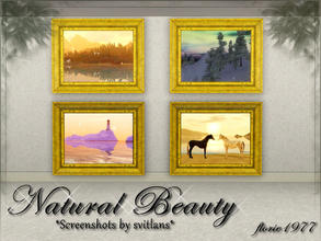 Sims 3 — Natural Beauty by florie1977 — Captivating shots of the world around us. The perfect touch to any room.