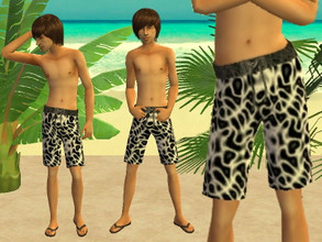 Sims 2 — Teen Squiggle Trunks Set - Gray by zaligelover2 — Swim trunks for teens.