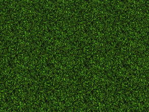 Sims 2 — The Lawn Set - 1 by zaligelover2 — Grassy ground covering.