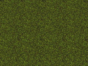 Sims 2 — The Lawn Set - 3 by zaligelover2 — Grassy ground covering.