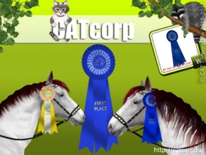 Sims 3 — Horse show ribbon 002 by CATcorp by CATcorp — To left and right side unisex 3 places prize title on ribbon