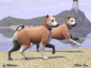Sims 3 — Shiba Inu by Wimmie — The Shiba Inu is the smallest of the six original and distinct spitz breeds of dog from