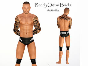 Sims 3 — Randy Orton Briefs by Ms_Blue — Randy Orton inspired Briefs with knee pads. Recolorable, 2 channels. Hope you