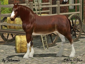 Sims 3 — Shire Horse by Wimmie — One of the largest horses in the world, the Shire originated in the 'Shires' of England