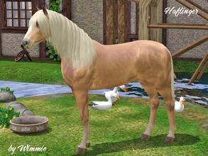 Sims 3 — Haflinger by Wimmie — The breed origin can be traced to medieval times when writings told of an Oriental breed