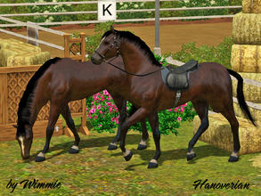 Sims 3 — Hanoverian by Wimmie — A Hanoverian is a warmblood horse originating in Germany, which is often seen in the