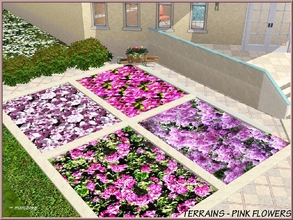 Sims 3 — Terrains-Pink Flowers_marcorse by marcorse — Four pretty terrain paints featuring pink flowers - bouganvillea,