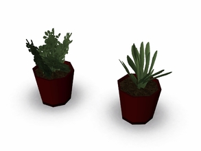 Sims 3 — Midtown Potted Herb by sim_man123 — A small potted herb plant. Made by sim_man123 from TSR. TSRAA.