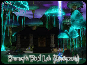 Sims 3 — Simmer's Field Laboratory by murfeel — Based on Sinderion's alchemical foothold in Blackreach, where he