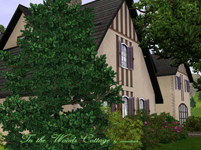Sims 3 — In_the_Woods_Cottage by matomibotaki — A cottage in idyllic surrounding, nearby a little pond to enjoy swimming