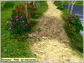 Sims 3 — Runners Path_marcorse by marcorse — Muddy unpaved path used regularly by runners and joggers, terrain paint