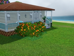 Sims 3 — Sea breeze by _hidden_2 — A small and basic ocean house for your sims! It was built on the lot 'Retreat,