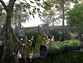 Sims 3 — Cypress Swamp by sim_man123 — A wild and natural swamp setting for your sims to explore! Contains several trees