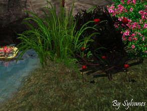 Sims 3 — Dark forest rose_T.D. by Sylvanes2 — A small rose to full up spaces in your garden or they can grow wildly in a