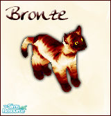 Sims 1 — Bronze Cat by BloodMaple — 