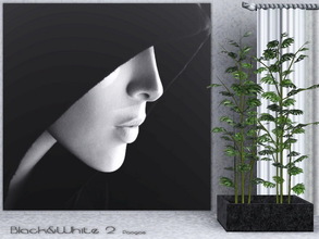 Sims 3 — Black&White2 by Paogae — Black and White 2, three striking pictures in black and white for an amazing touch