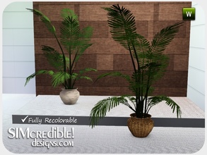 Sims 3 — Evening Falls - Plant big by SIMcredible! — by SIMcredibledesigns.com available at TSR