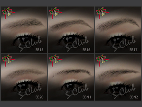 Sims 3 — Sims3set S-Club ts3 eyebrow x6 set2 by S-Club — Hey everyone! These are 6 eyebrows from our collection. Hope you