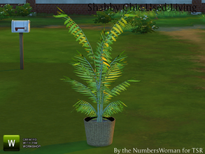 Sims 4 — Shabby Bargain Shabby Chic Palm by TheNumbersWoman — Shabby yet affordable, the comfort oozes out of these