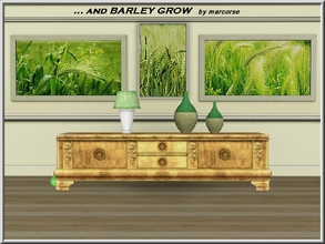 Sims 3 —  , , , and Barley Grow_marcorse by marcorse — Three painting set of Summer barley crops.