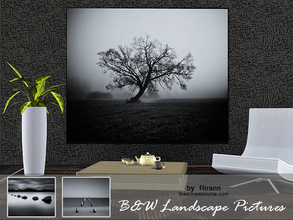 Sims 3 — B&W Landscape Pictures by Rirann — A set of large black and white landscape pictures. Will adorn any