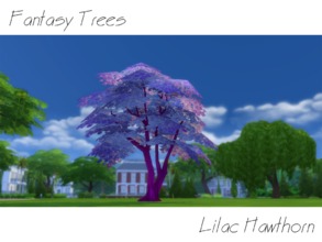 Sims 4 — Fantasy Tree - Lilac Hawthorn by fonxi121994 — This Hawthorn has been modified genetically to show a beautiful