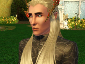 Sims 3 — Thranduil by yafa2267 — Thranduil is from The Hobbit move and portrayed by actor Lee Pace. This sim was made by