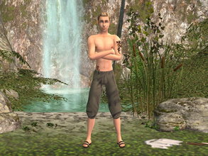 Sims 2 — Summer Boy Shirtless Set - tan by zaligelover2 — For AM. Tattoos included.