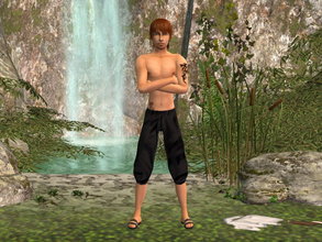 Sims 2 — Summer Boy Shirtless Set - blk by zaligelover2 — For AM. Tattoos included.