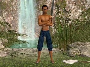 Sims 2 — Summer Boy Shirtless Set - blu by zaligelover2 — For AM. Tattoos included.