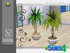 Sims 4 — Arden Plant by SIMcredible! — by SIMcredibledesigns.com available at TSR ________________________ *2 colors