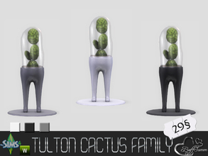 Sims 4 — Tulton Cactus Family Cactus C by BuffSumm — A Addon-Set for the Tulton Series - The Cactus Family :) Take care