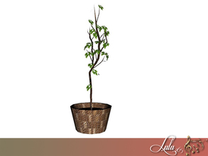 Sims 4 — Nuance Living Potted Tree by Lulu265 — Part of the Nuance Living Set Please do not copy, clone or reupload