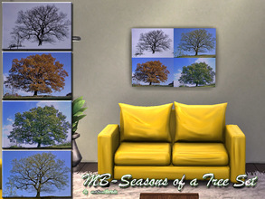Sims 4 — MB-SeasonsOfaTreeSet by matomibotaki — MB-SeasonsOfaTreeSet, paintings with a tree in different seasons motives,