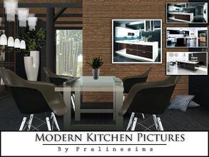 Sims 3 — Modern Kitchen Pictures by Pralinesims — By Pralinesims