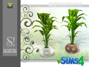 Sims 4 — Flora rubber plant by SIMcredible! — by SIMcredibledesigns.com available at TSR __________________ * 2 colors