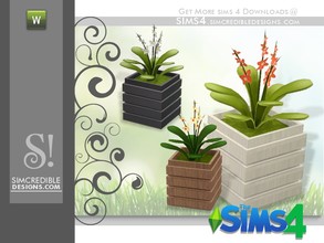 Sims 4 — Flora Bluets by SIMcredible! — by SIMcredibledesigns.com available at TSR __________________ * 3 colors