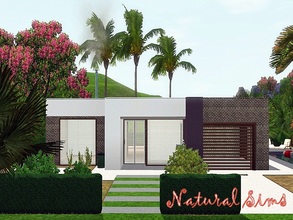 Sims 3 — Modern Home by Natural_Sims — This single story modern home contains a living room, a bathroom, a kitchen, a