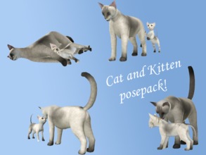 Sims 3 — Cat And Kitten Posepack by Eenhoorntje — Here is a posepack for your little cats ;D There are 8 poses, 4 for