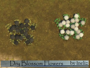 Sims 4 — Dry Blossom Flowers by Ineliz — A recolored version of the blossom flowers from the game. Comes in a