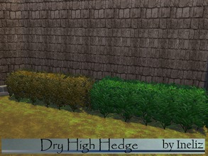 Sims 4 — Dry High Hedge by Ineliz — A recolored version of the High Hedge from the game. Comes in a dark-orange/yellow