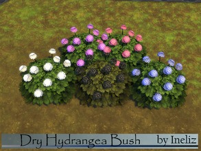 Sims 4 — Dry Hydrangea Bush by Ineliz — A recolored version of the Hydrangea Bush from the game. Comes in a