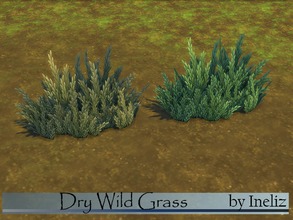 Sims 4 — Dry Wild Grass by Ineliz — A recolored version of the Wild Grass from the game. Comes in a dark-orange/yellow